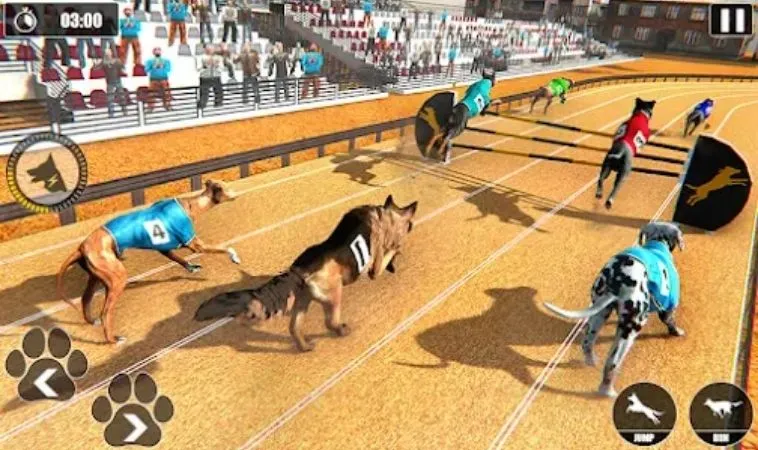 Khám Phá Game Nhanh Đua Chó Tại 789P: Hấp Dẫn Và Kịch Tính 2 Khám Phá Game Nhanh Đua Chó Tại 789P: Hấp Dẫn Và Kịch Tính